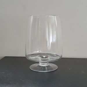 Glass Vase